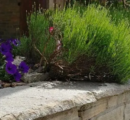 Seggiovia 3* Pontechianale